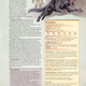 Illustration for article titled An Inside Look at the Creepy Creatures of iDungeons Dragons/i New iMonster Manual/i